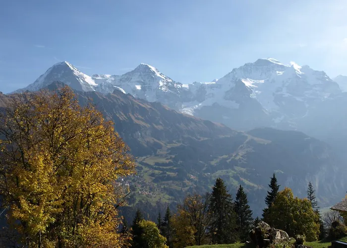 Hotel Bel-Air Eden Grindelwald